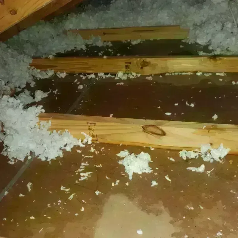 Attic Water Damage in Haven, KS