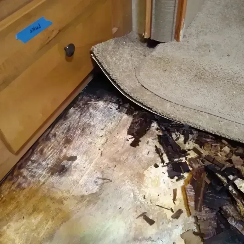 Wood Floor Water Damage in Haven, KS